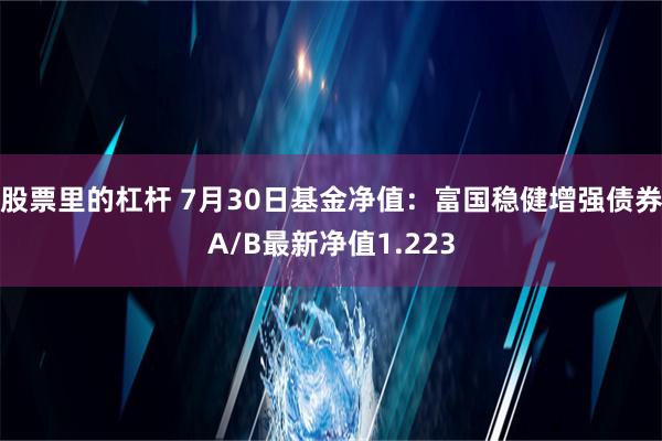 股票里的杠杆 7月30日基金净值：富国稳健增强债券A/B最新净值1.223