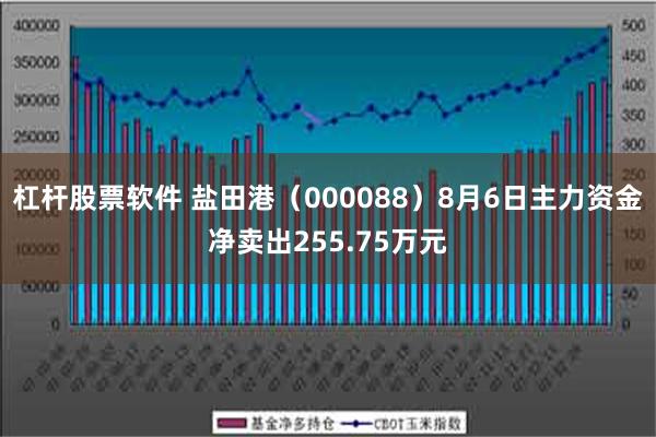 杠杆股票软件 盐田港（000088）8月6日主力资金净卖出255.75万元