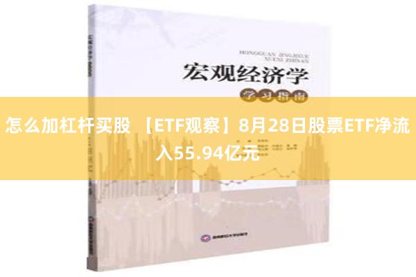 怎么加杠杆买股 【ETF观察】8月28日股票ETF净流入55.94亿元