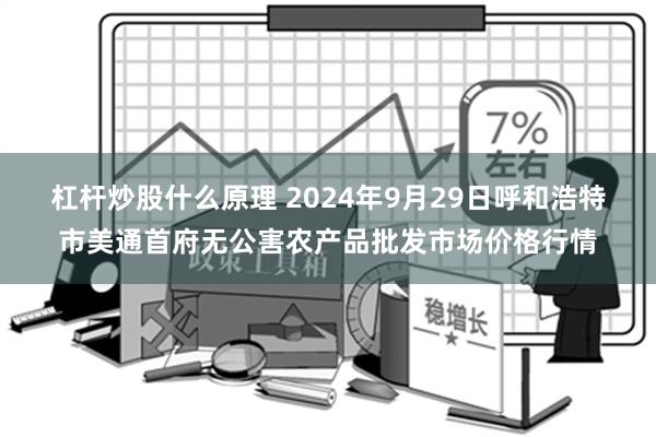 杠杆炒股什么原理 2024年9月29日呼和浩特市美通首府无公害农产品批发市场价格行情