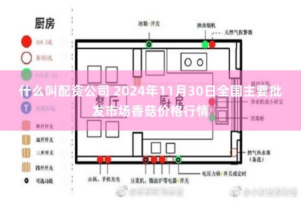 什么叫配资公司 2024年11月30日全国主要批发市场香菇价格行情