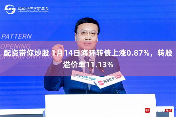 配资带你炒股 1月14日海环转债上涨0.87%，转股溢价率11.13%